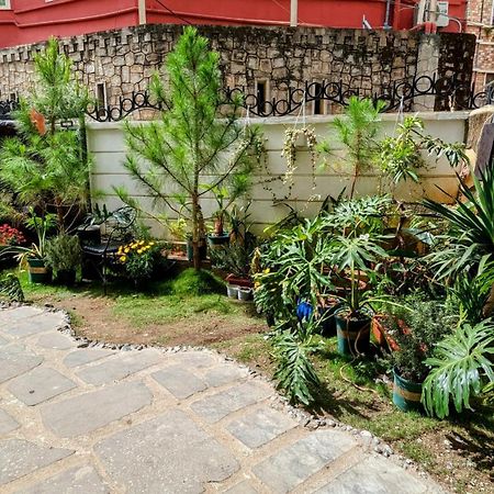 Wasabi House - Homestay Ben Cho Dalat Exterior foto