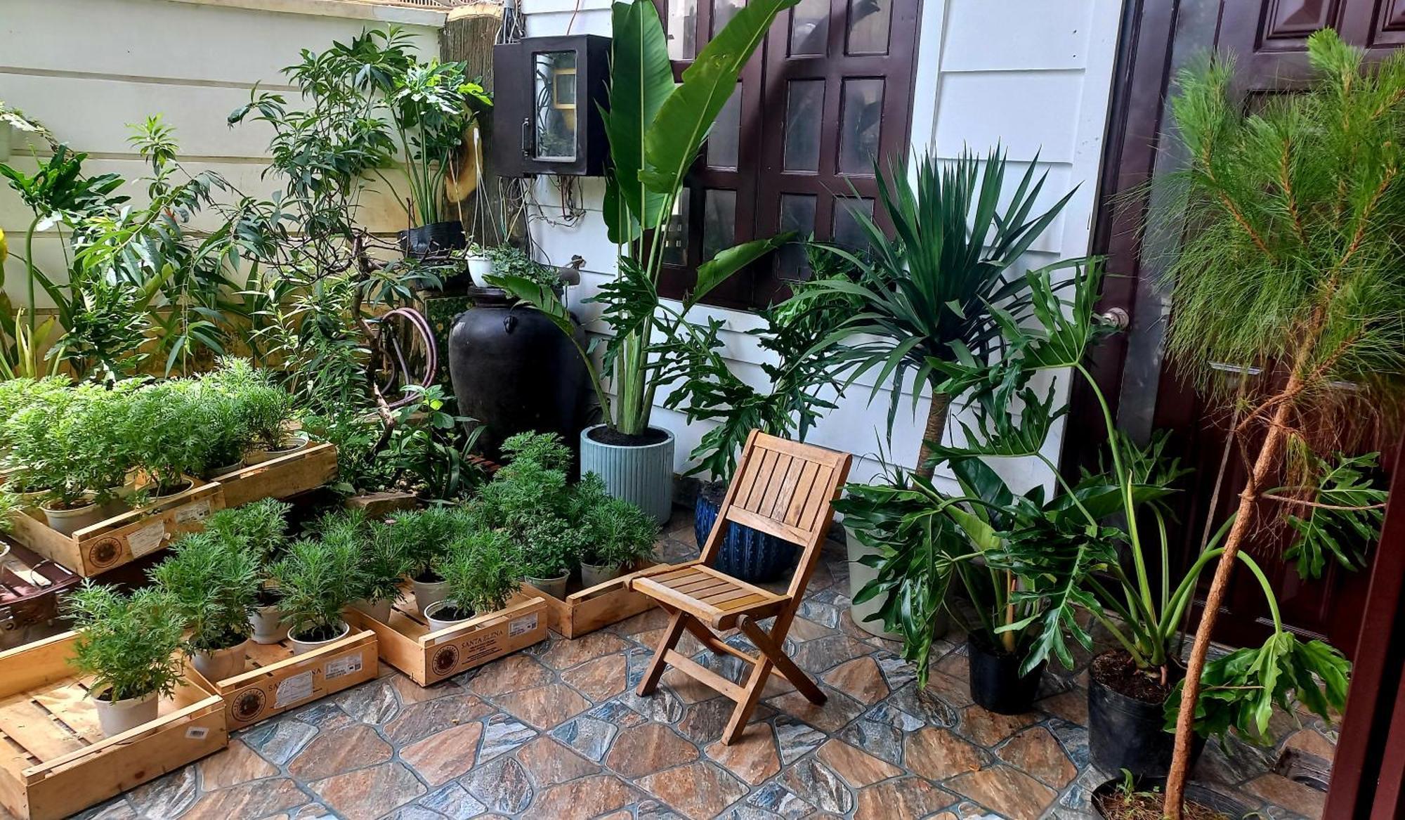 Wasabi House - Homestay Ben Cho Dalat Exterior foto