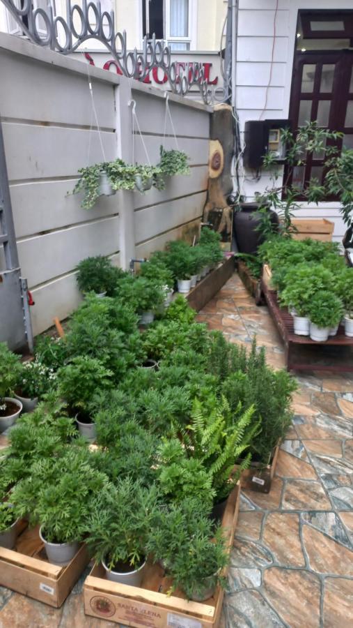Wasabi House - Homestay Ben Cho Dalat Exterior foto