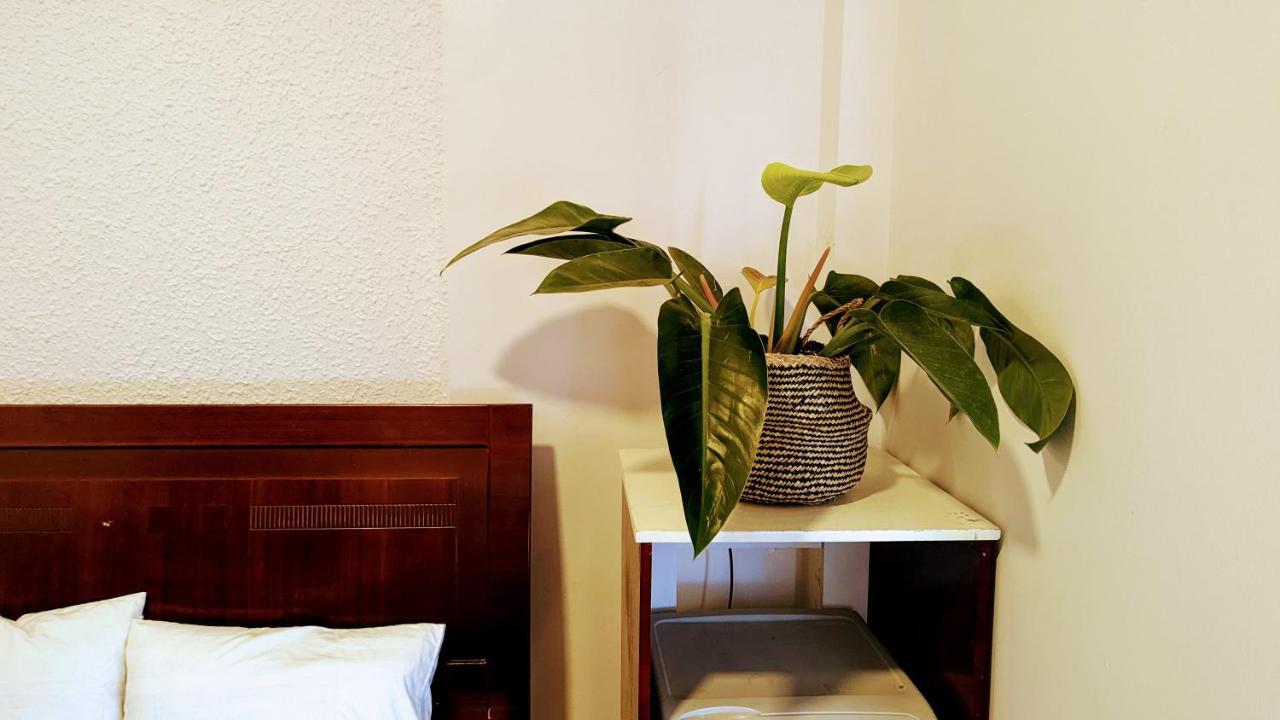 Wasabi House - Homestay Ben Cho Dalat Exterior foto