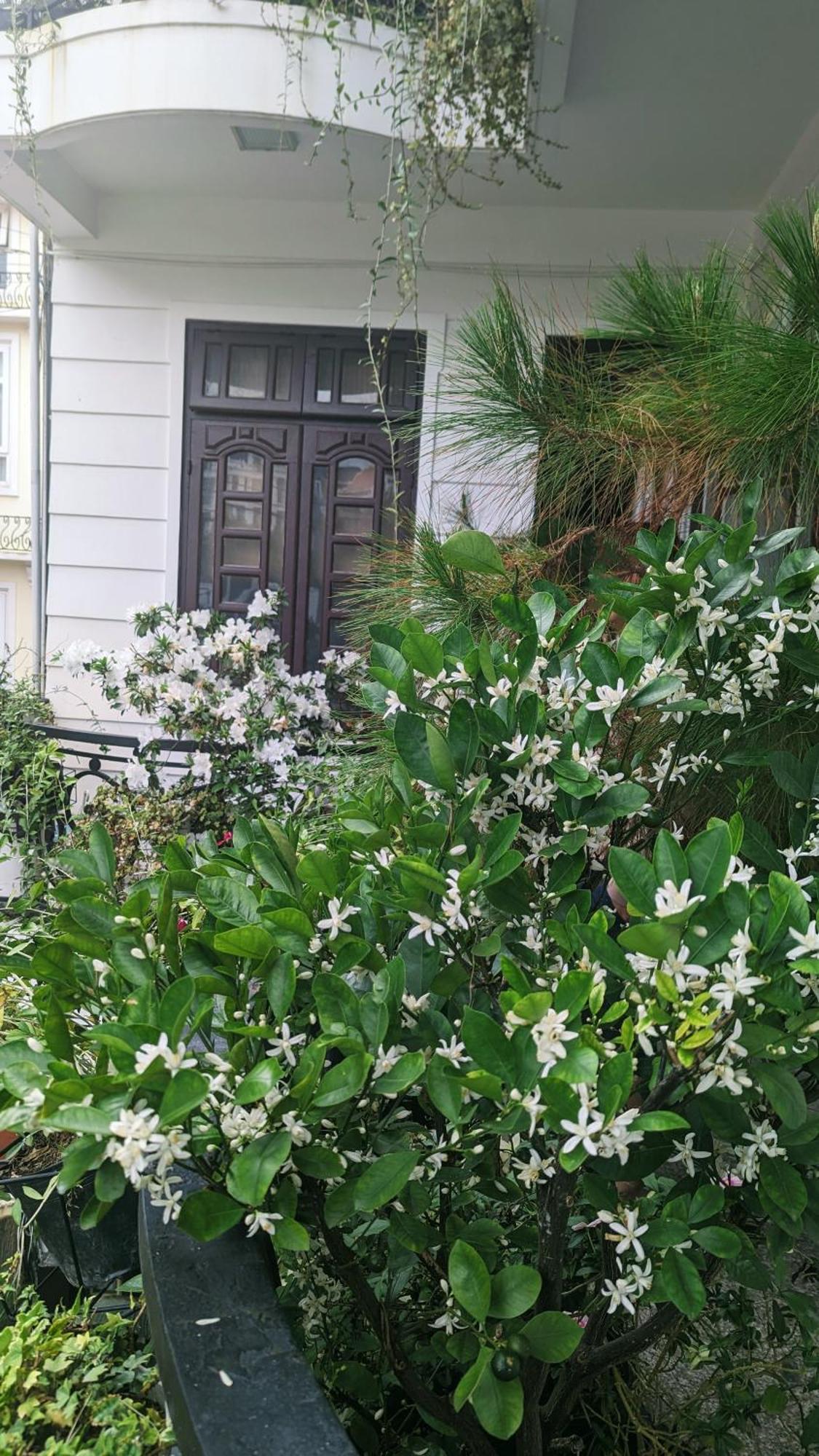 Wasabi House - Homestay Ben Cho Dalat Exterior foto